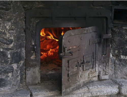 Antichi forni: origini, tradizioni e curiosità